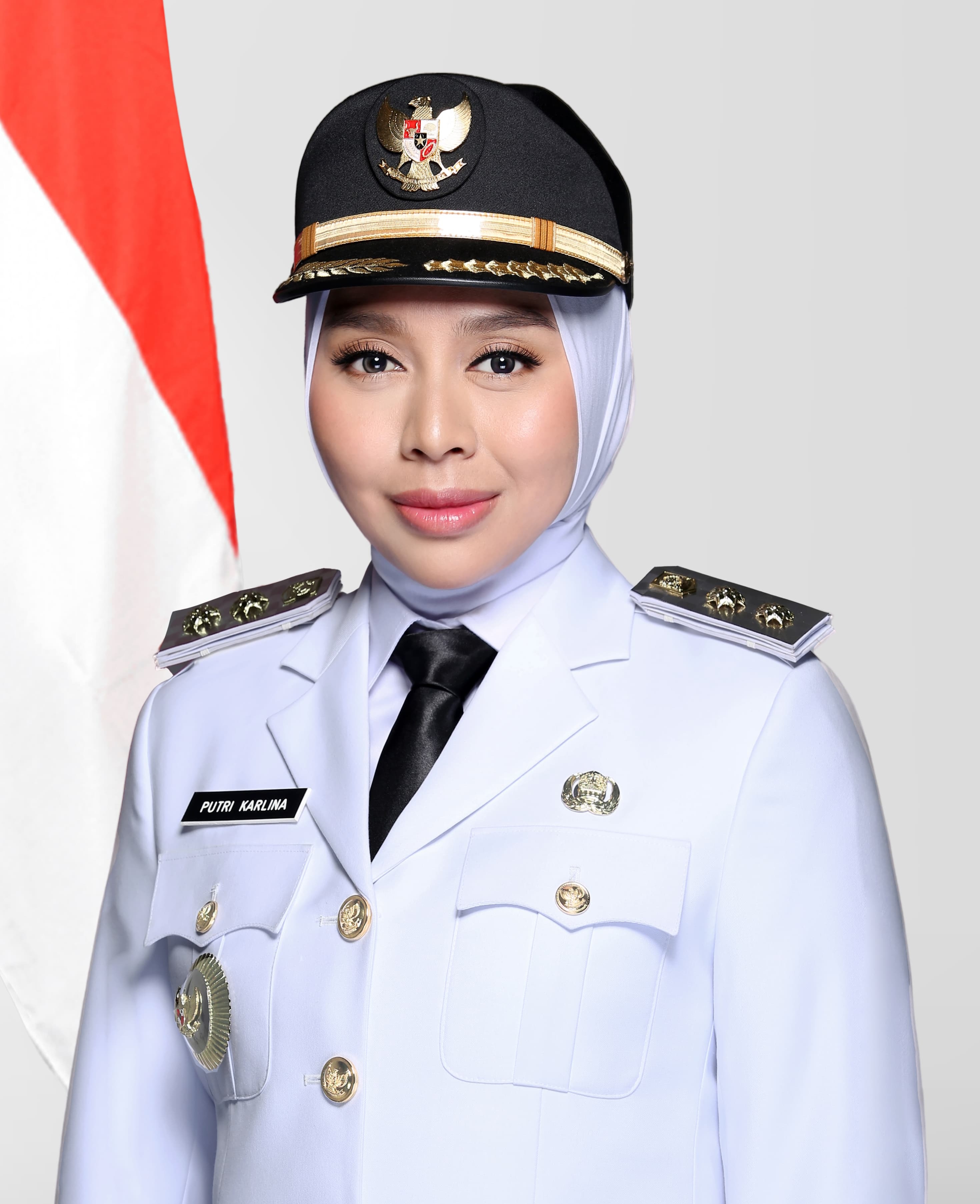 drg. Luthfianisa Putri Karlina, M.BA